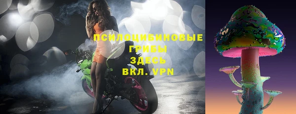 трава Тобольск