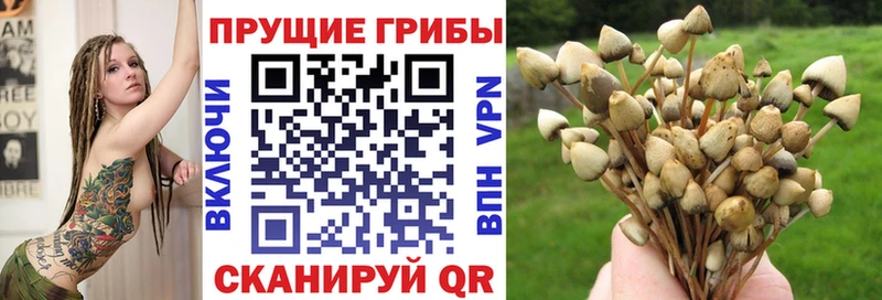 Галлюциногенные грибы ЛСД  Купить закладки  Севастополь 