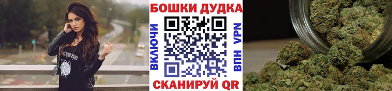 Купить закладки  Севастополь  Бошки марихуана планчик 